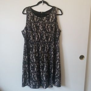 Black and Cream Lace Cocktail Dress